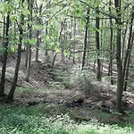 Jagdhaus Maja