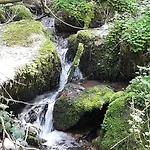 Jagdhaus Maja * Kleinich