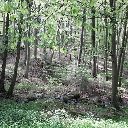 Jagdhaus Maja
