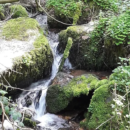 Jagdhaus Maja * Kleinich