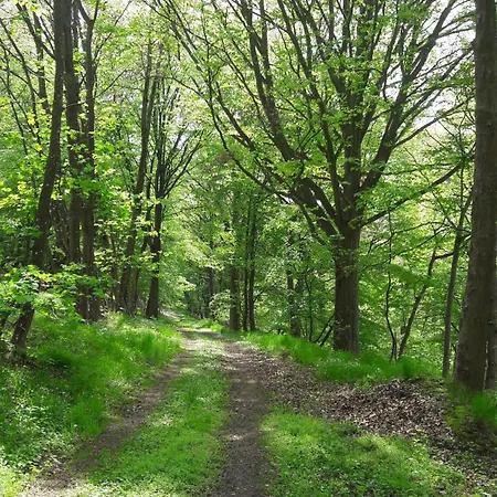 Vakantiehuis Jagdhaus Maja *