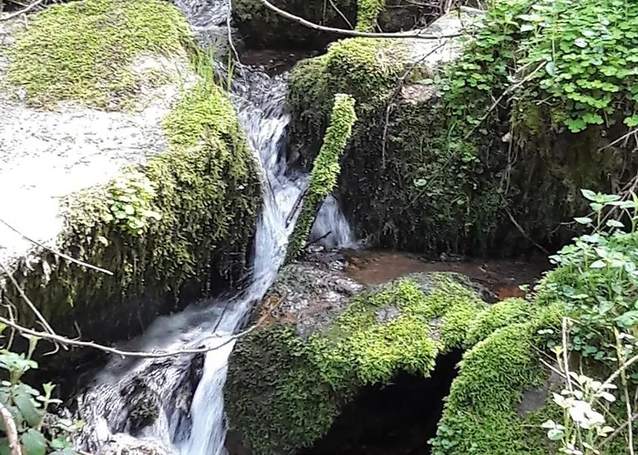 Jagdhaus Maja * Kleinich