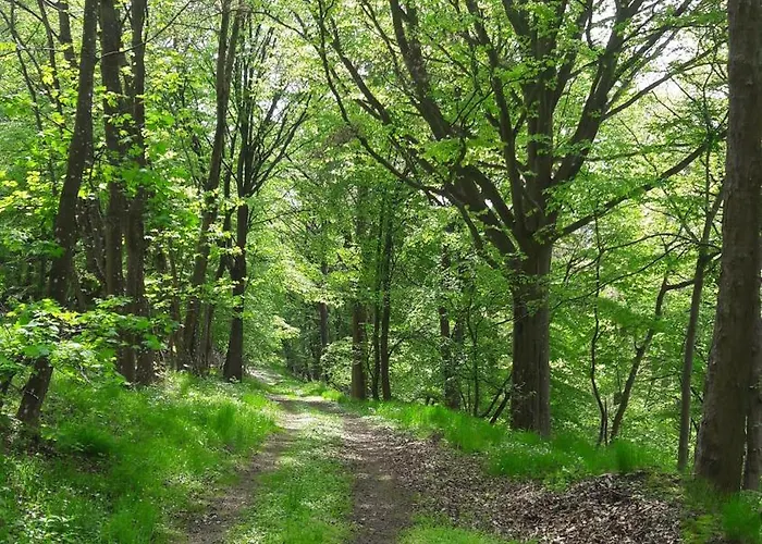 Ferienhaus Jagdhaus Maja *